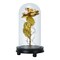 Foil Rose Led String Light Rose Fairy Lamp With Glass Dome For Valentines Day